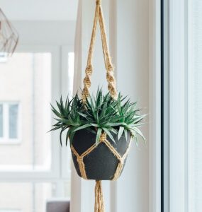 Knotted macramé plant hanger holding a black pot with a spiky green plant by a window