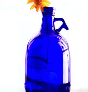 Cobalt blue glass jug with a small handle holding a single orange flower
