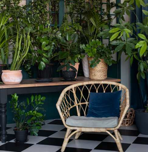 Rattan chair and potted plants on a tiled conservatory floor